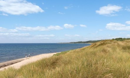 'Anarosa' - 200m from the sea 3