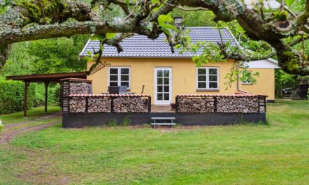 'Andri' - 1.5km from the sea 6