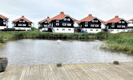 'Nikica' - 350m from the sea 2