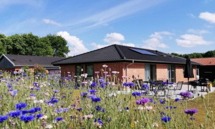 'Helmi' - 1km from the sea