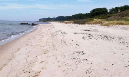 'Helmi' - 1km from the sea 7