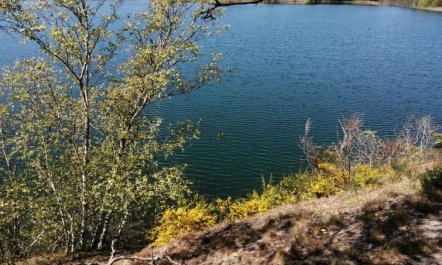 'Helmi' - 1km from the sea 6