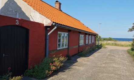 'Elvira' - 300m from the sea