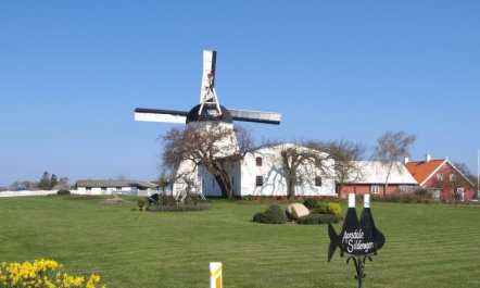 'Elvira' - 300m from the sea 2