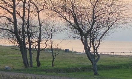 'Pihla' - 50m from the sea 4