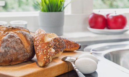 'Agneta' - 150m from the sea 1