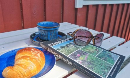 'Nayati' - 60m from the sea 5