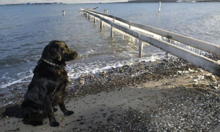 'Lander' - 20m from the sea 4