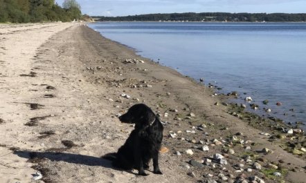 'Lander' - 20m from the sea 3