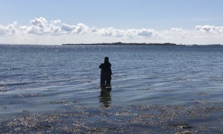 'Lander' - 20m from the sea 2