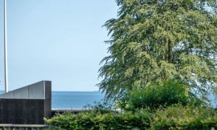 'Eriksine' - 150m from the sea 3