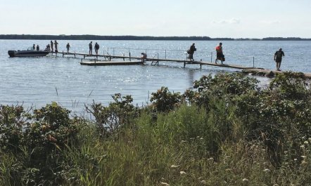 'Eddy' - 50m from the sea 7