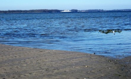 'Eddy' - 50m from the sea 5