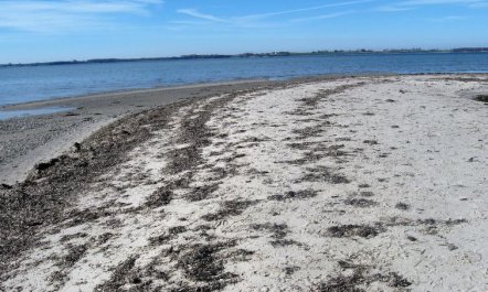 'Eddy' - 50m from the sea 3