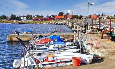 'Bea' - 300m from the sea 3