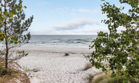 'Fastulf' - 300m from the sea 2