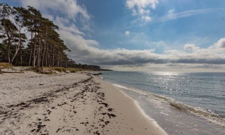 'Hildegerd' - 500m from the sea 2