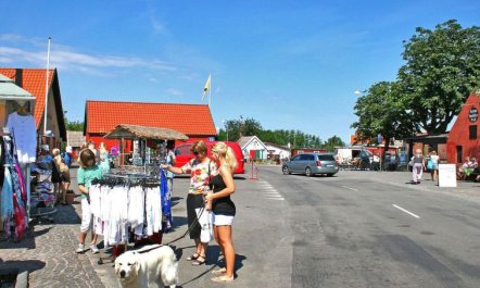 'Ødmar' - 400m from the sea 4