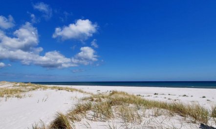 'Apelone' - 300m from the sea 2