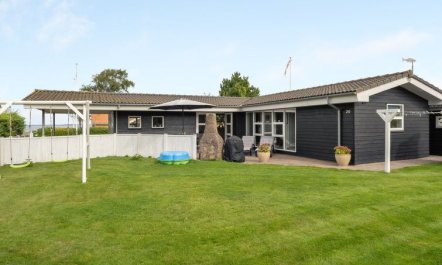 'Gull' - 150m from the sea