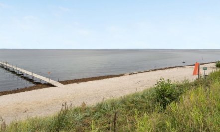 'Gull' - 150m from the sea 2