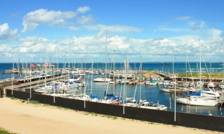 'Cedomir' - 625m from the sea 3