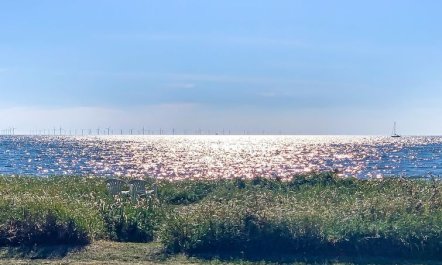 'Stacie' - 10m from the sea 1