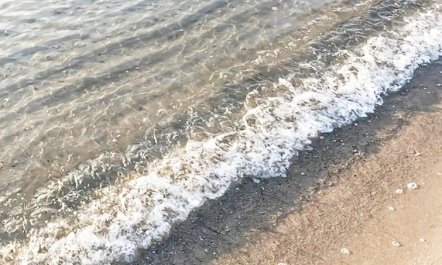 'Stacie' - 10m from the sea 5