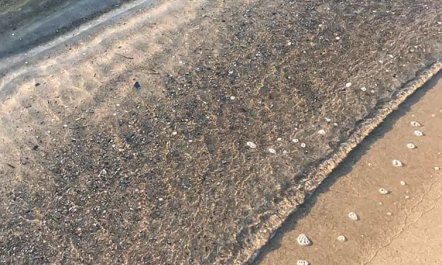 'Stacie' - 10m from the sea 6