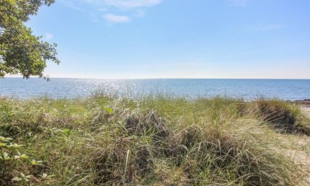 'Pisana' - 300m from the sea 5