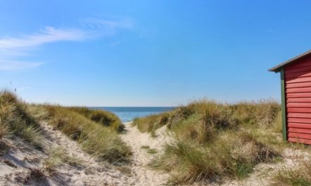 'Pisana' - 300m from the sea 4