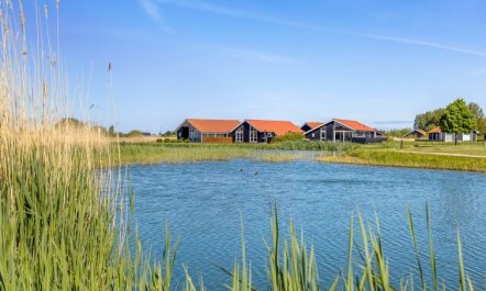 'Zişan' - 1.1km from the sea 5