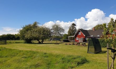 'Ieva' - 3.9km from the sea 5