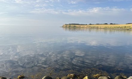 'Mari' - 150m from the sea 7