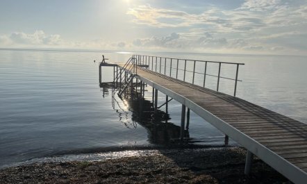 'Mari' - 150m from the sea 6