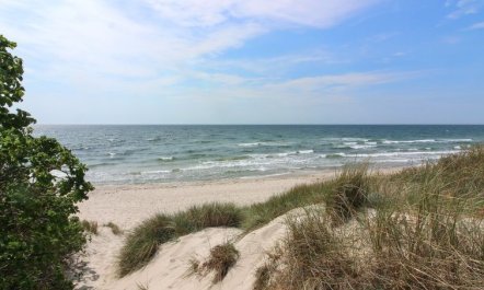 'Nuka' - 800m from the sea 3