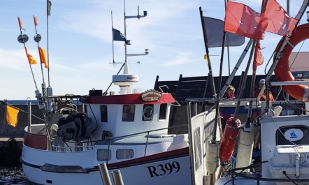 'Benna' - 120m from the sea 5