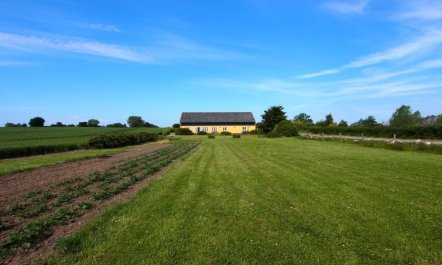 'Joran' - 120m from the sea 4