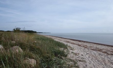 'Joran' - 120m from the sea 3