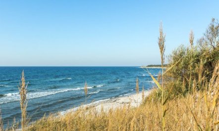 'Kajsa' - 50m from the sea 2