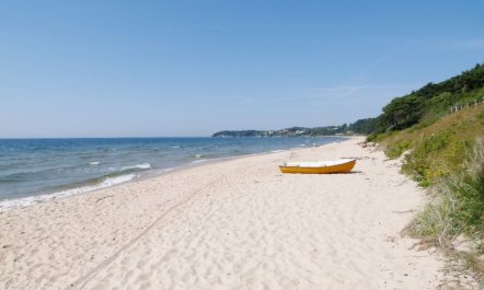 'Wilgrib' - 50m from the sea 4