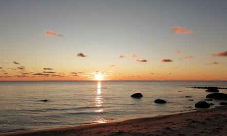 'Wilgrib' - 50m from the sea 2