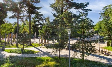 'Sophy' - 150m from the sea 7