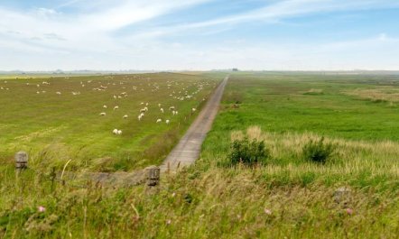 'Annagrete' - 12km from the sea 7