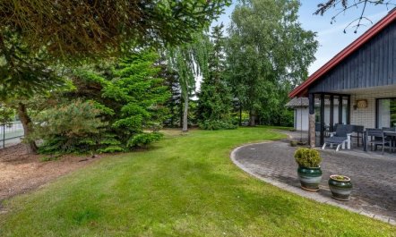 'Hanka' - 500m from the sea 6