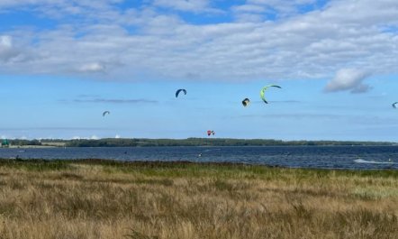 'Ilene' - 1km from the sea 3