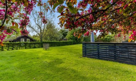 'Prohor' - 150m from the sea 5