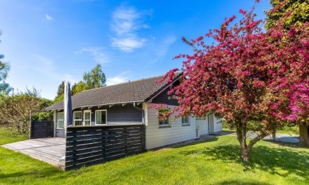 'Prohor' - 150m from the sea 3