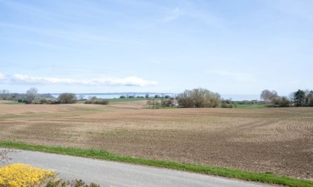 'Albertine' - 600m from the sea 4