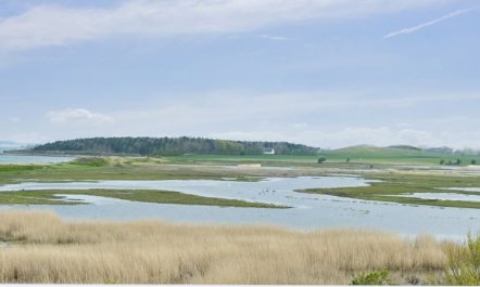 'Ewelina' - 150m from the sea 7